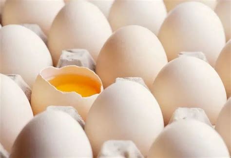 【第414期】鸡蛋、鸭蛋、鹅蛋、鹌鹑蛋，那种营养更高？_澎湃号·政务_澎湃新闻-The Paper