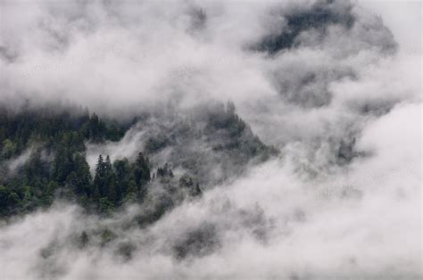 大雾中的山间树林风光摄影高清jpg图片免费下载_编号zq7h2gp51_图精灵