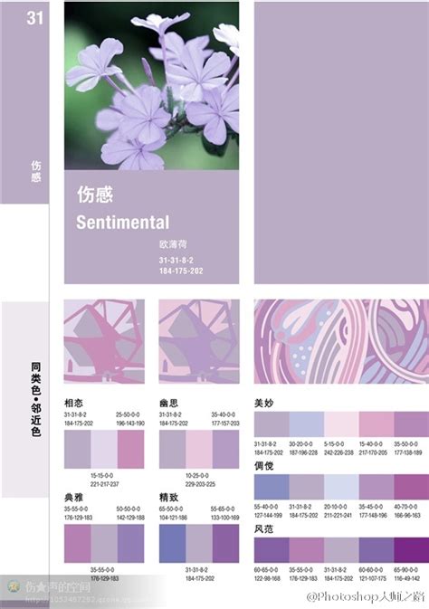 一组经典舒服紫色系设计配色方案参考，速速收藏备用！_学设计上兔课网-站酷ZCOOL