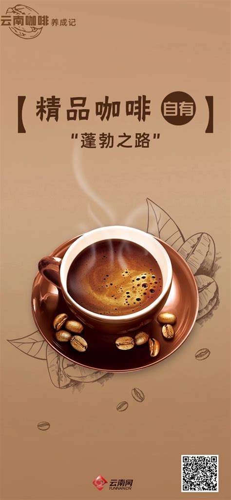 云南咖啡豆品种介绍 云南铁皮卡与小粒咖啡的手冲风味口感特点区别 中国咖啡网