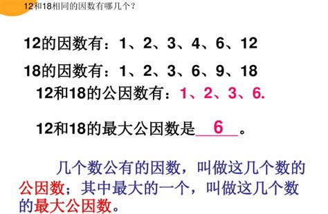 深圳五年级上册数学找最大公因数知识点_深圳学而思1对1