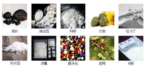 影响世界的四大毒品产地，有两个离中国很近_种植