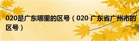 020是广东哪里的区号（020 广东省广州市的区号）_公会界