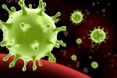 新冠病毒能够重复感染，一次、两次、三次？新研究这么说_凤凰网