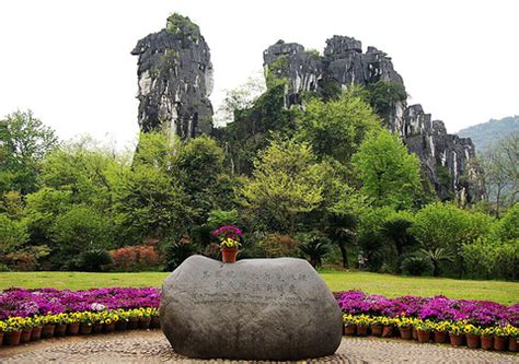 2021七星景区-旅游攻略-门票-地址-问答-游记点评，桂林旅游旅游景点推荐-去哪儿攻略