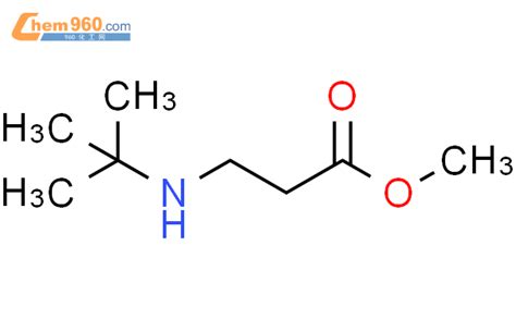 1462-98-2_Ethyl 3-(tert-butylamino)propanoateCAS号:1462-98-2/Ethyl 3 ...
