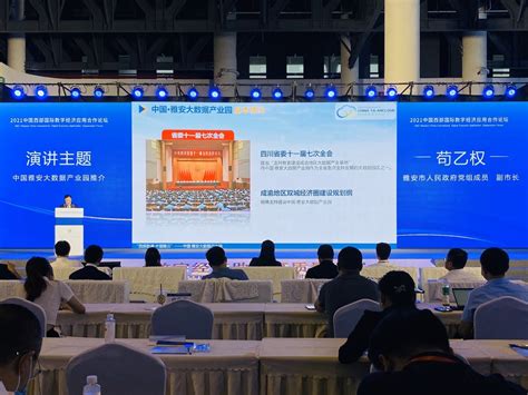 雅安：到2025年 全市数字经济规模拟超500亿元凤凰网重庆_凤凰网