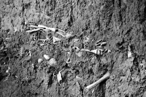 山西发现疑似长平之战尸骨坑：尸骨层厚度约0.6米(含视频)_手机新浪网