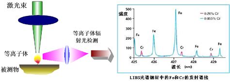 研究方向一：单细胞、单颗粒光谱分析方法研究-天津大学-生物医学光子成像实验室