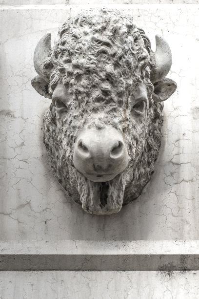 牛头雕塑图片素材 牛头雕塑设计素材 牛头雕塑摄影作品 牛头 ...