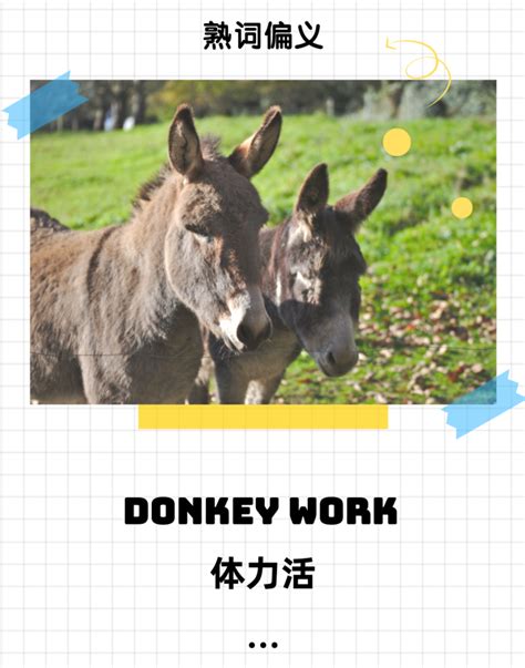 英语熟词偏义 | "donkey work"是什么工作呢？ - 知乎