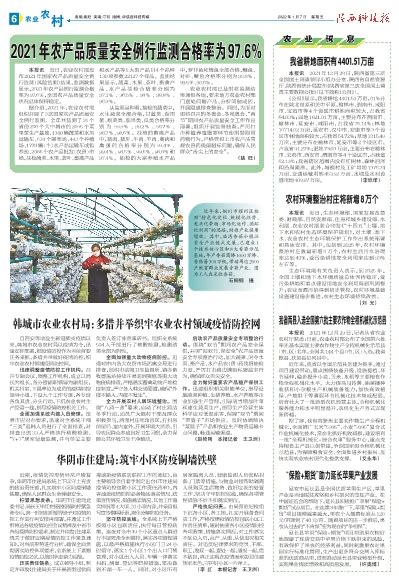 铜川市耀州区庙湾香菇小镇全产业链式发展-->陕西科技报