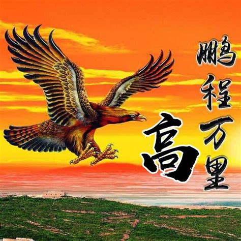 鹏程万里图片
