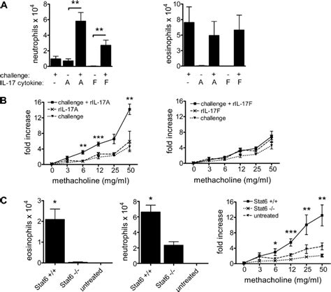 IL-17 and Th2 responses act synergistically to promote airway ...