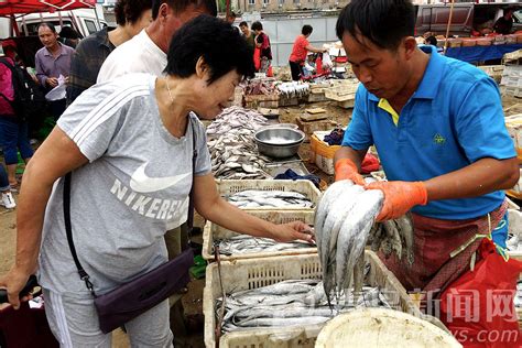 开海第一鲜！沙子口震撼实拍 看完馋死人(图) - 青岛新闻网