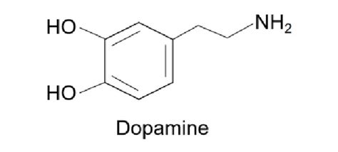 传递快乐的分子——多巴胺-资讯_前衍化学