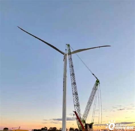 三峡新能源康保100兆瓦风电项目完成风机吊装-国际电力网