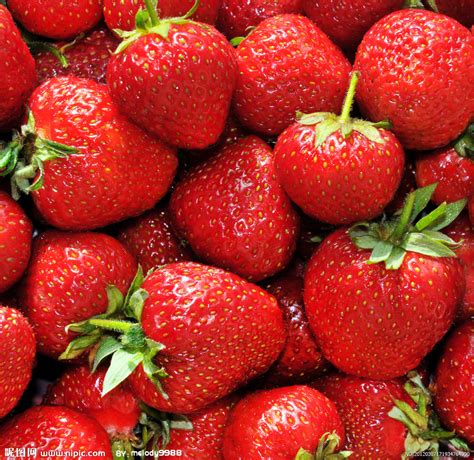 水果草莓产品销售宣传介绍PPT模板_PPT牛模板网