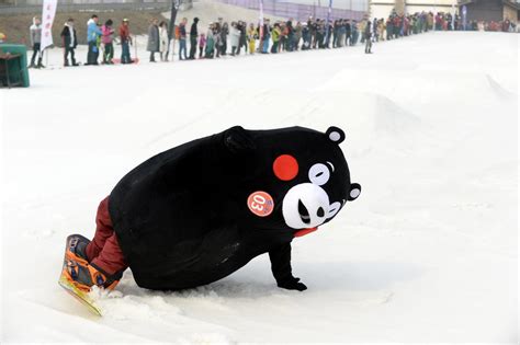 趣闻|续集？重庆还有一只熊本熊在漂流：请长江下游居民帮寻找“二熊” 趣闻