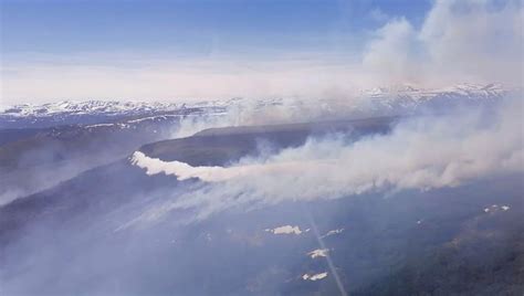 俄堪察加边疆区天然火灾面积增至7.3万公顷 - 2020年6月25日, 俄罗斯卫星通讯社