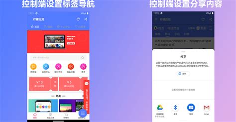 网站转换APP源代码 WebAPP源代码 网站生成APP源代码 Flutter项目 带控制端 - 松果商城