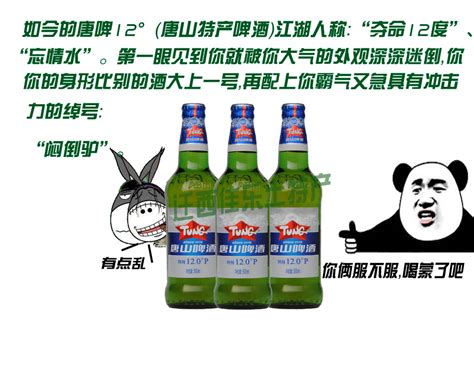 凤凰涅槃新唐山啤酒包装设计-酒水/饮料包装设计作品|公司-特创易·GO