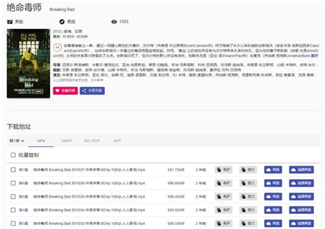 欧美交友网站网页设计模板源码素材免费下载_红动中国
