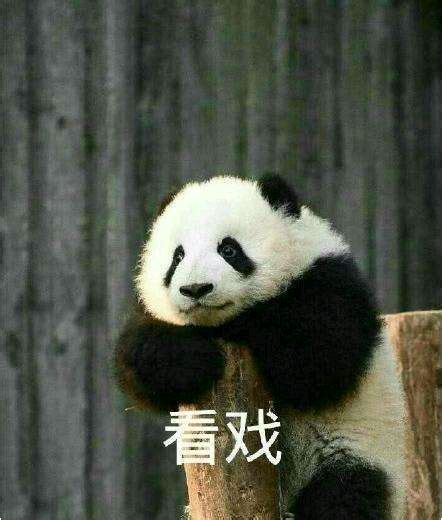 看戏表情包图片