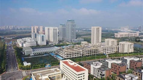 【视频】西青经开区：坚持以招商引资助推区域高质量发展_天津_企业_阿诺尼亚