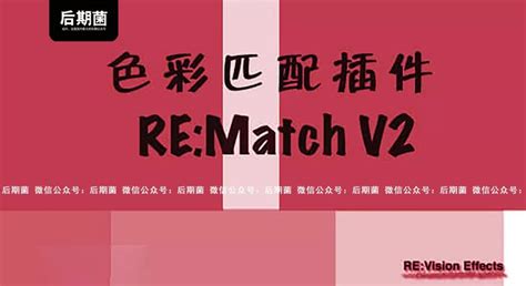 达芬奇-高级色彩匹配插件 RE:Match