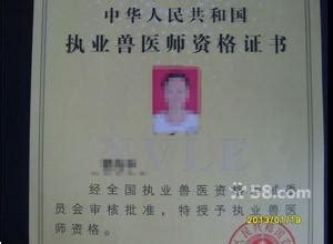 兽医执业资格证出租 - 沈阳执业兽医资格证书 - zuzheng
