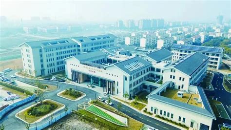 上海市崇明区委书记李政：聚力打造“五新”生态产业_热点