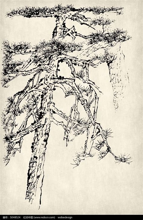 国画松树的画法：松柏松树水墨画图片大全03