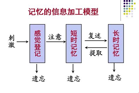 记忆力很强的人特点 增强记忆力的方式有哪些（寻找关联）_探秘志