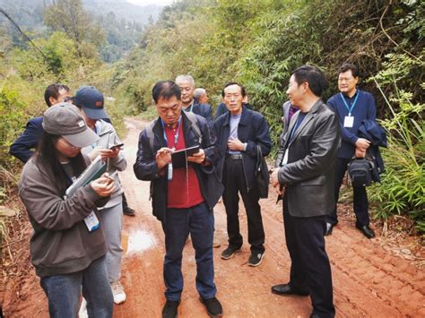 交通再添新干线 渝南将建新水库 中国基础设施建设稳步推进-大河网