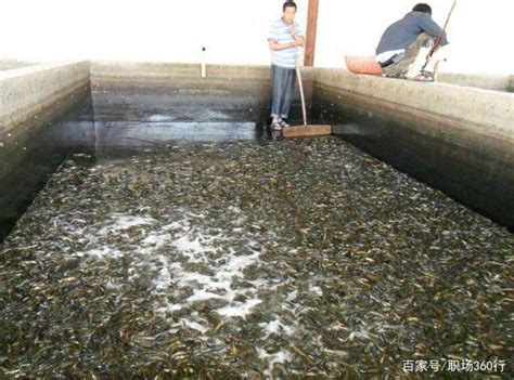 丝路国家水产养殖国际论坛线上举办_知谷农机网