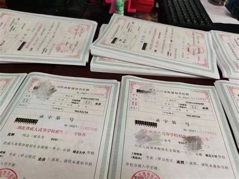 上海成人高考报名费多少钱(附最新收费标准)- 上海本地宝