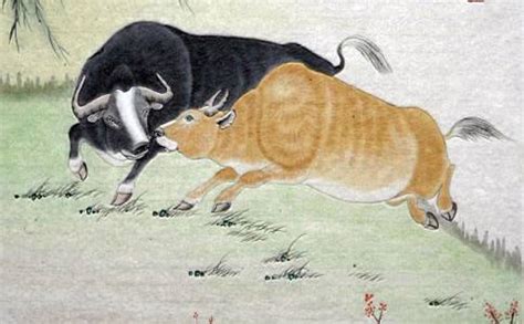 戴嵩斗牛图图片