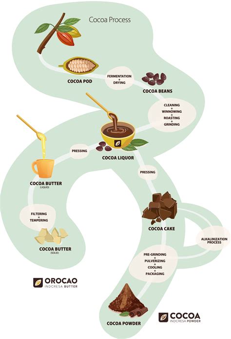 Cocoa Processing - INDCRESA