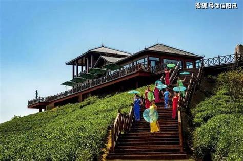 春游江门这个万亩茶园，踏青寻茶香，每一口都是春天！