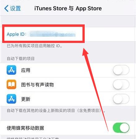 苹果手机商店怎么设置中文-适会说