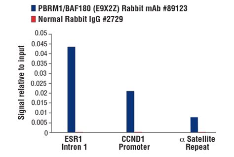 PBRM1/BAF180 (D4L9X) Rabbit mAb | Cell Signaling Technology