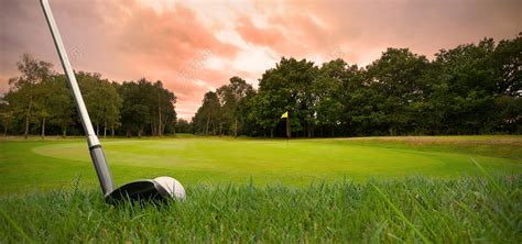 高尔夫球场背景图片免费下载 - 觅知网