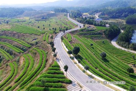 湖南农村公路总里程20.2万公里 明年自然村实现路路通_湖南频道_凤凰网