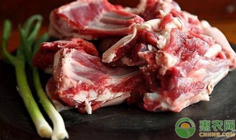 羊肉价格今日查询（今日羊肉价格多少钱一斤） - 科技田(www.kejitian.com)