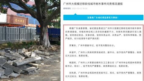 广州市大规模迁移砍伐城市树木事件，10名领导干部被问责_手机新浪网