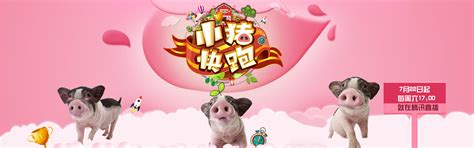 和弦和弦 的图像结果