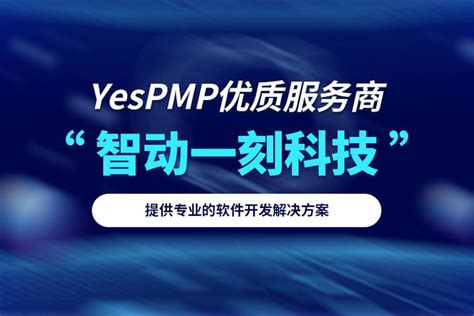 国内领先的一站式互联网外包平台推荐-邯郸朝旭网络科技-YesPMP平台