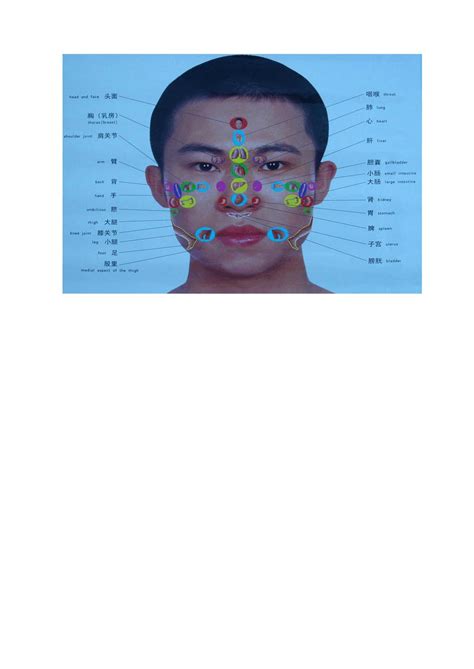面部反射区图图片