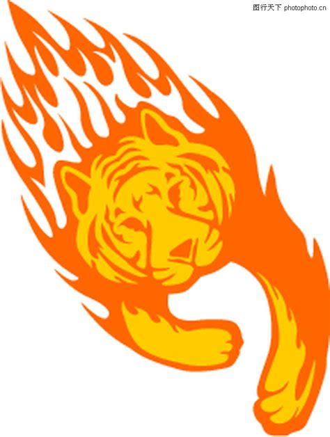 动物火焰0029-动物火焰图-花纹图案图库-老虎